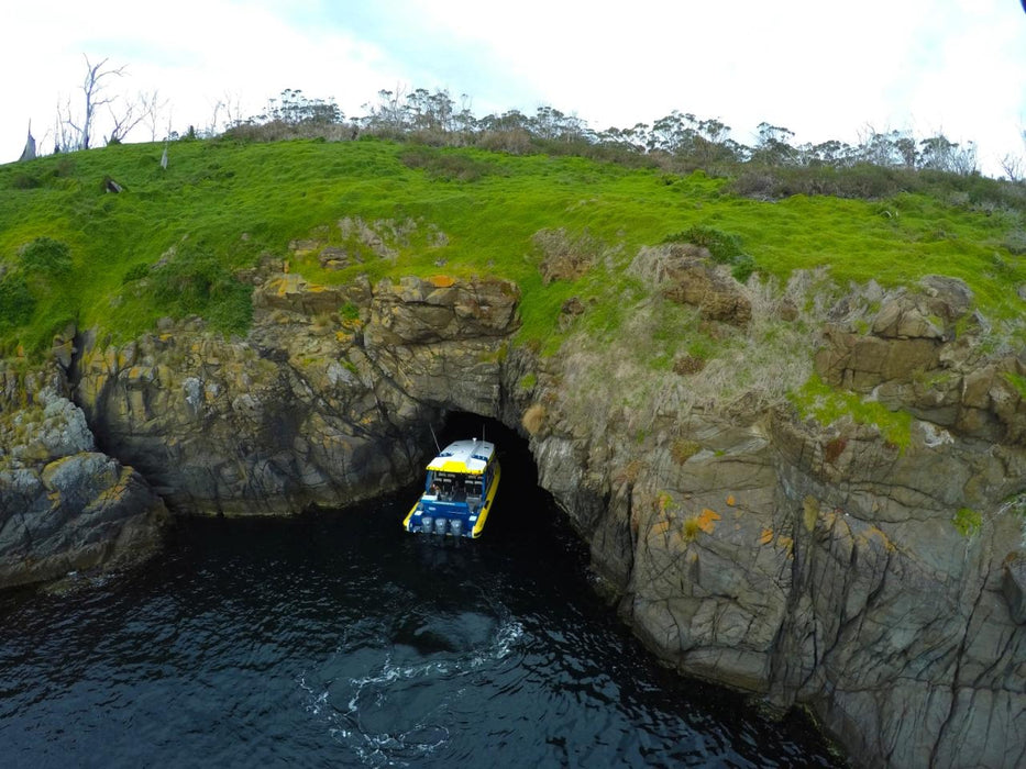 Iron Pot Cruises