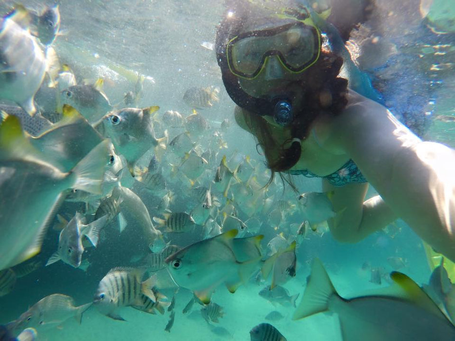 1 Day Moreton Island Snorkel Kayak & Sandboard Adventure Tour - We Wander