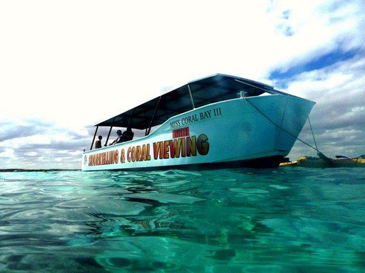 1 Hour Coral Viewing Cruise - We Wander