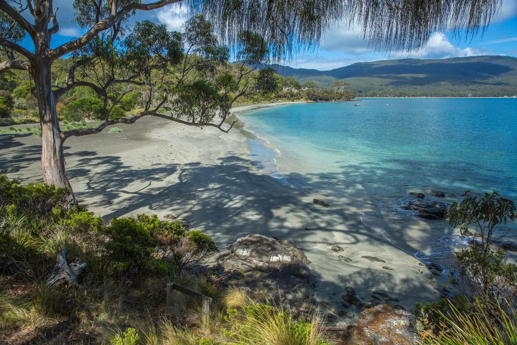 2 Day Bruny Island & Port Arthur Tour From Hobart - We Wander