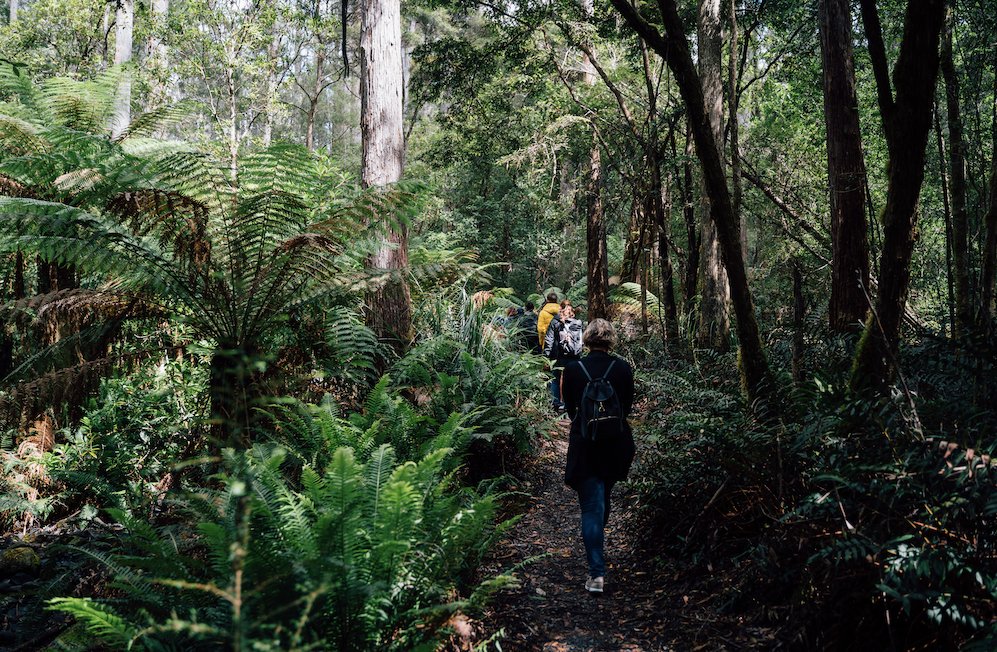 2 Day Bruny Island & Port Arthur Tour From Hobart - We Wander