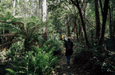 2 Day Tour - Two Of Tasmania's Best - We Wander