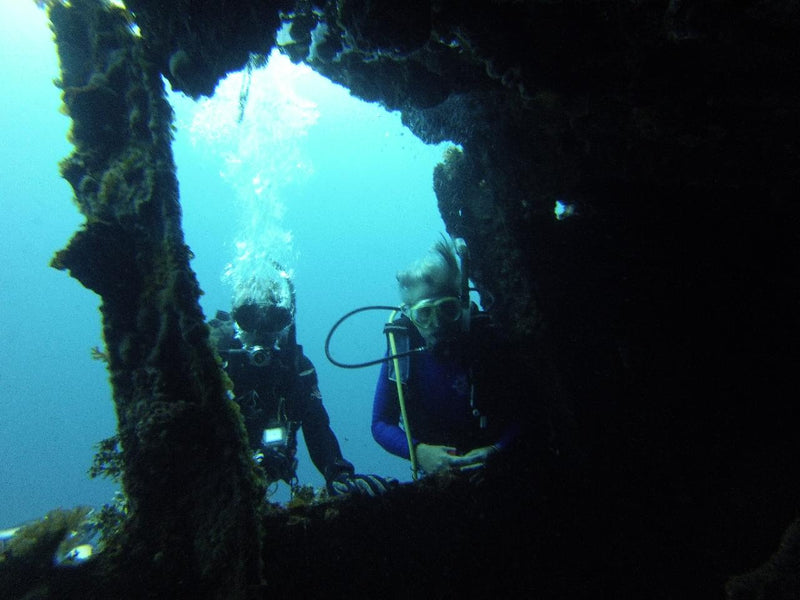 2 Dive Trip - Cementco Wreck And Flinders Reef - We Wander