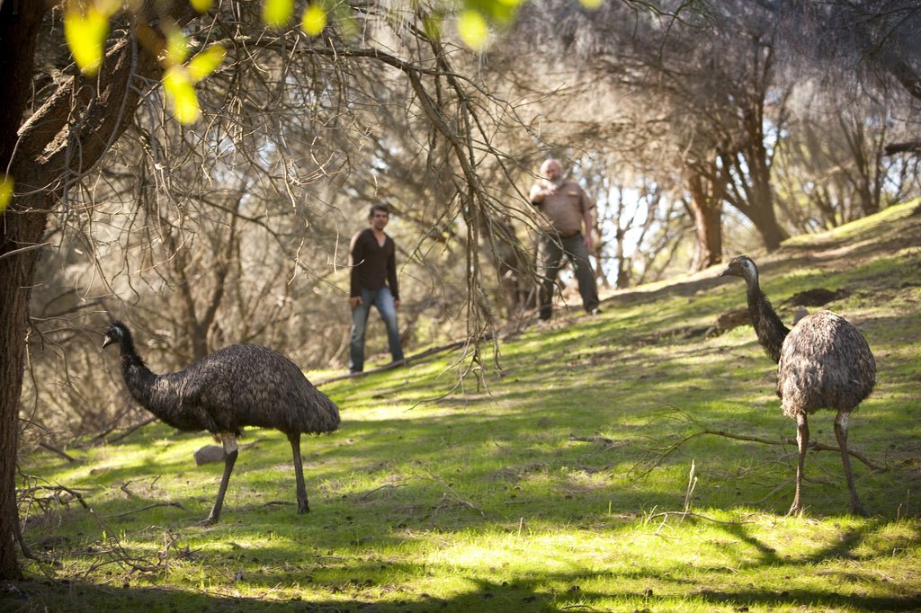 3 - Day Adelaide To Melbourne Tour - We Wander