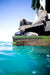 3 Hour Dolphin And Seal Swim - We Wander