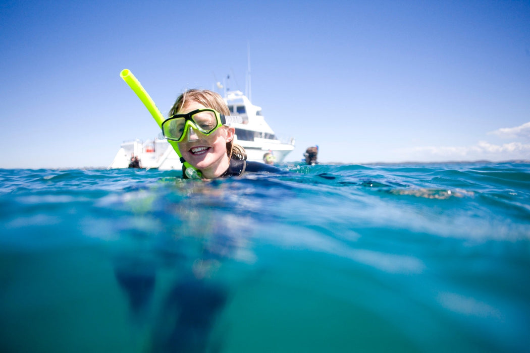 3 Hour Dolphin And Seal Swim - We Wander