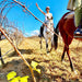 30 - Minute Family Horse Ride - Bushland Trail - We Wander