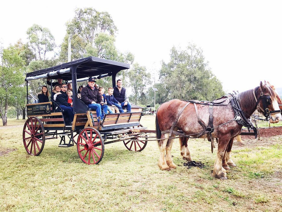 45 - Minute Vineyard Horse - Drawn Carriage Ride - We Wander