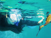 Snorkel With Sea Dragons