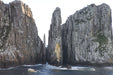 Tasman Island Cruises 3 Hour Cruise