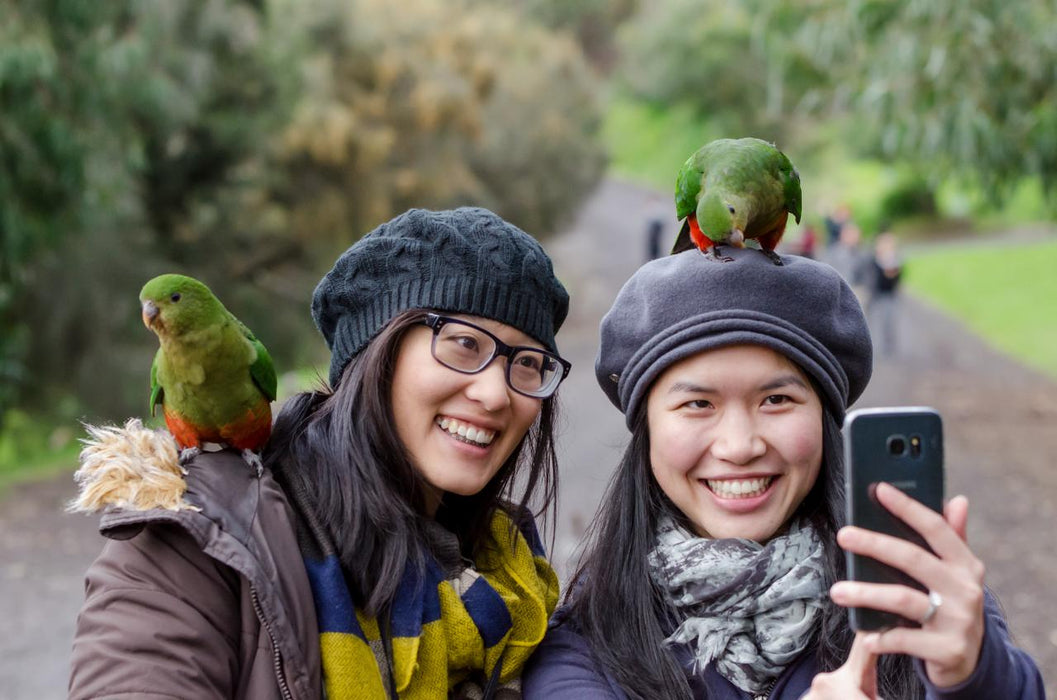 Autopia Tours: Melbourne To Adelaide 2 Day 