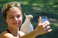 Autopia Tours: Adelaide To Melbourne 3 Day Tour 