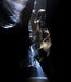 Empress Canyon Abseiling And Canyoning Adventure - Blue Mountains