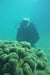 Padi Open Water Course