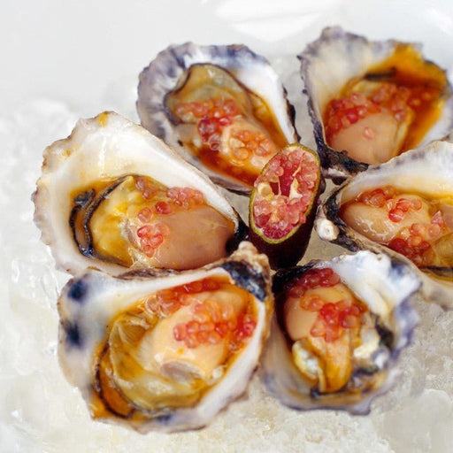 A Seafood Dining Experience At Fins Restaurant - We Wander