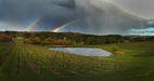Adelaide Hills & Hahndorf Hideaway - We Wander
