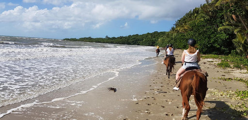 Afternoon Beach Horse Ride - We Wander