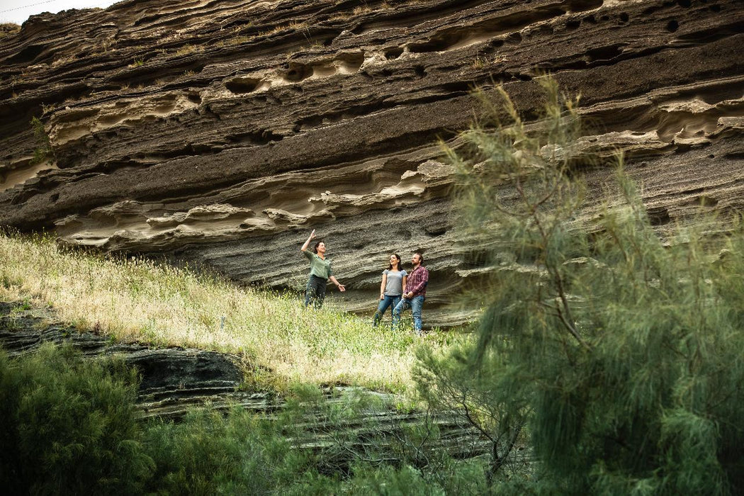 Autopia Tours: Great Ocean Road To Grampians 3 Day - We Wander