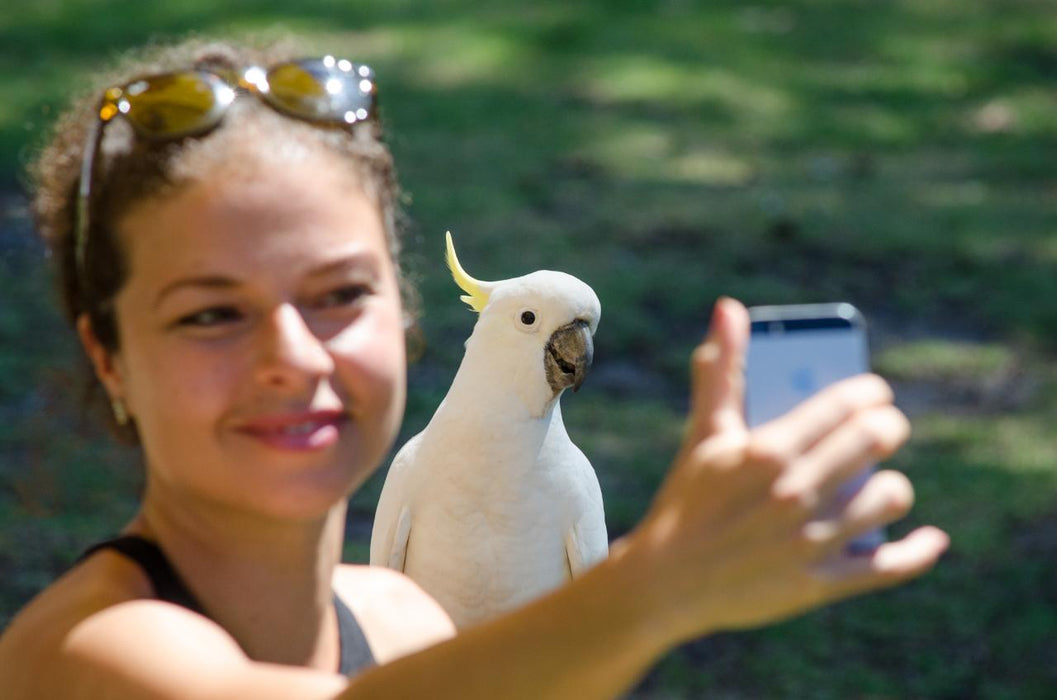 Autopia Tours: Great Ocean Road Twelve Apostles Tour - We Wander