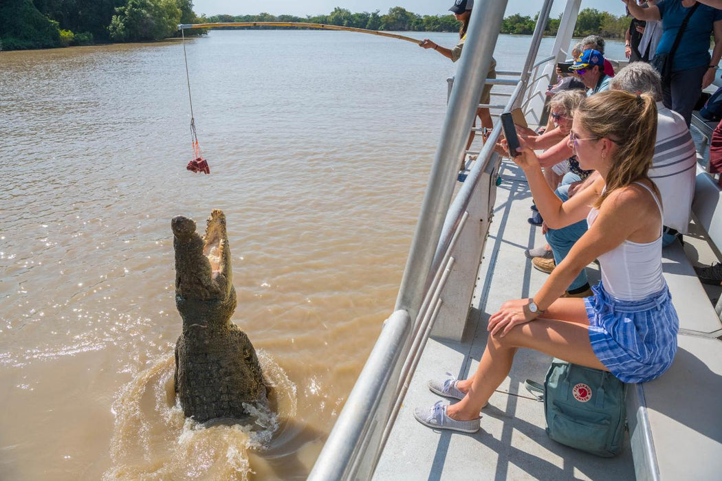Autopia Tours: Litchfield National Park + Croc Cruise From Darwin - We Wander