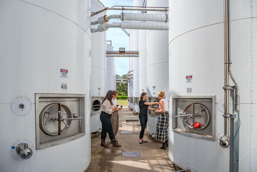 Explore, Wine & Dine In Mclaren Vale