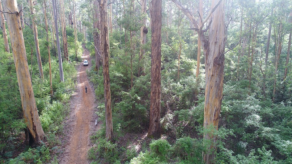 Beach & Forest Eco Adventure - We Wander