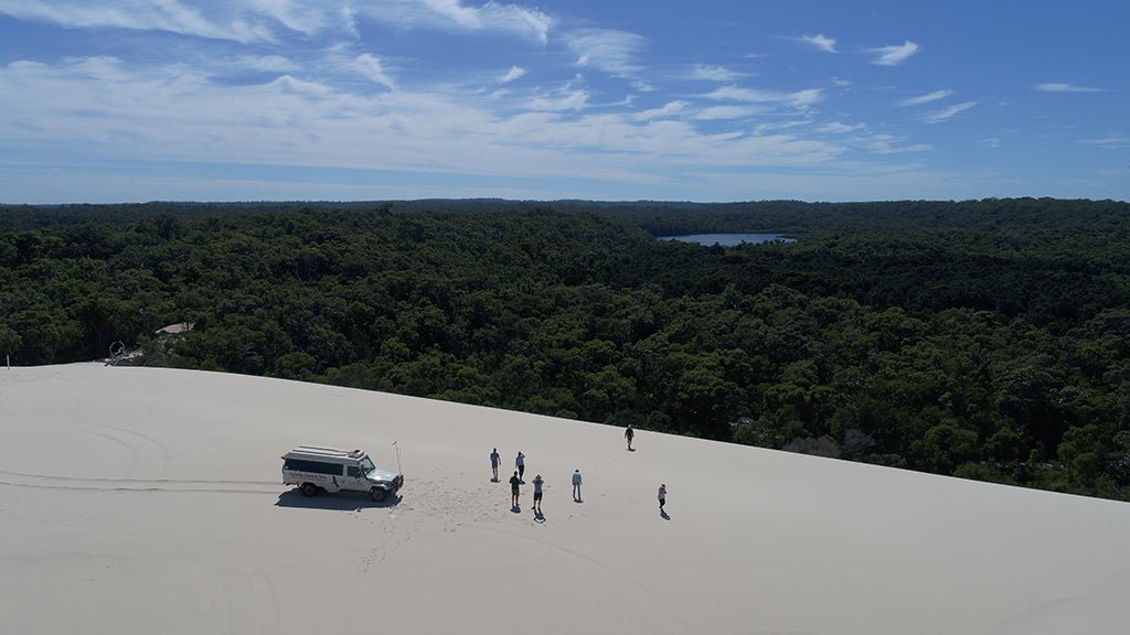 Beach & Forest Eco Adventure - We Wander