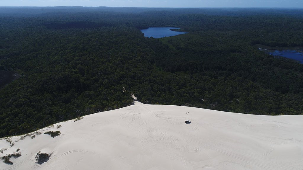 Beach & Forest Eco Adventure - We Wander