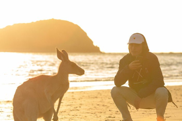 Beach Sunrise With The Wallabies - We Wander