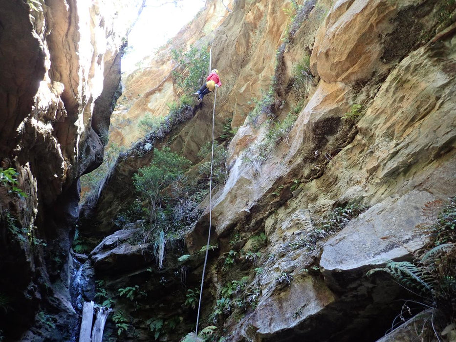 Beautiful Juggler Canyon Abseiling And Canyoning Adventure - Blue Mountains - We Wander