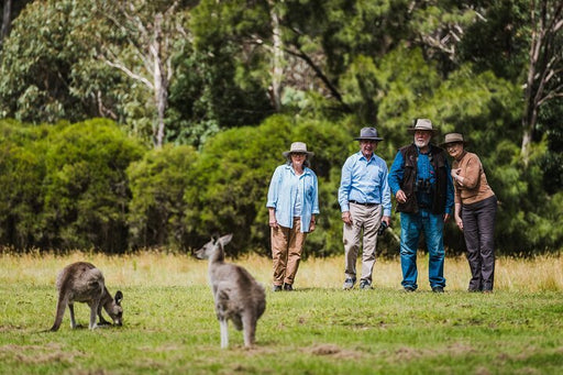 Best Of Wildlife And Birds Tour - Canberra - We Wander