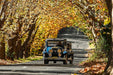 Blue Mountains Vintage Cadillac High Tea Private Tour. 3 Hour Experience. Includes High Tea At The M - We Wander
