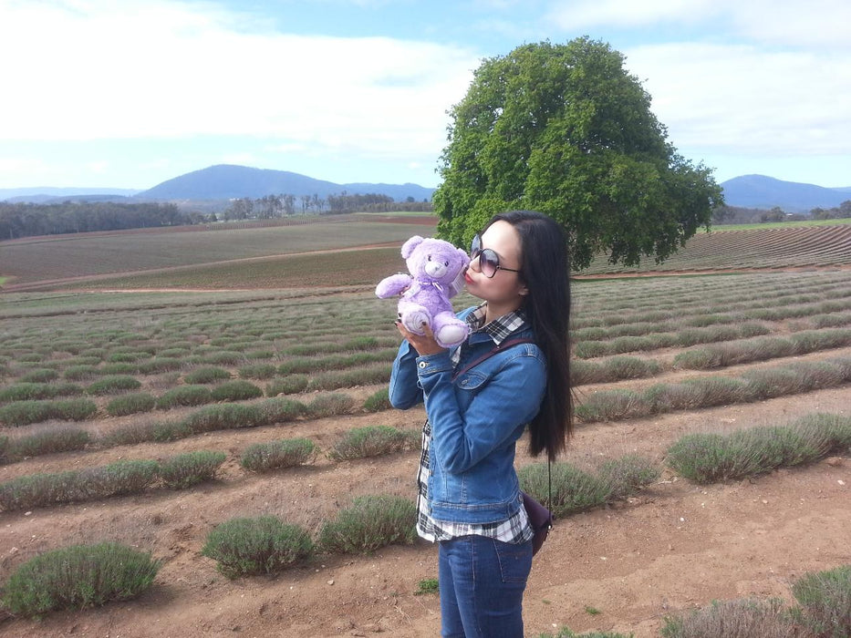 Bridestowe Lavender Farm Shuttle - We Wander