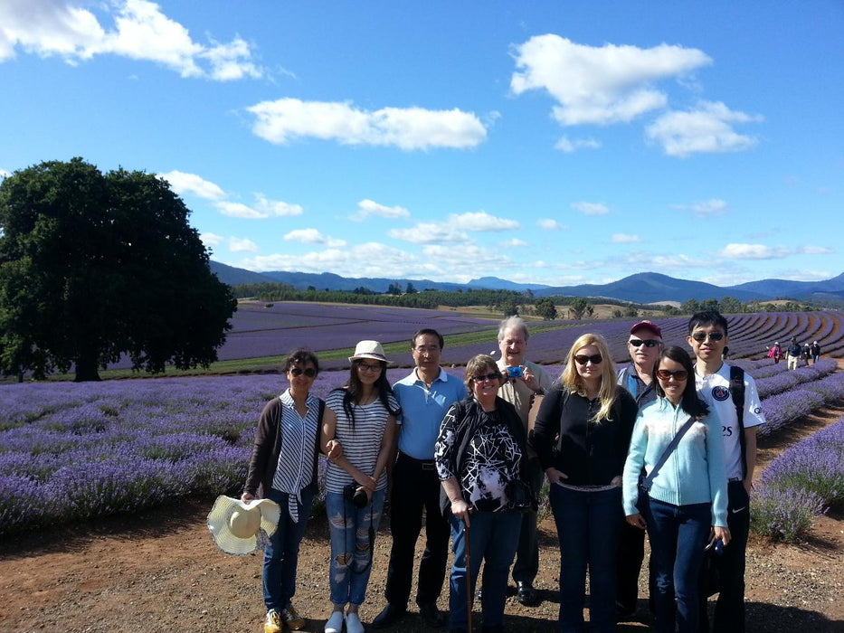 Bridestowe Lavender Farm Shuttle - We Wander