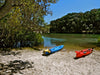 Brunswick River Nature Kayak Tour - We Wander