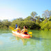 Brunswick River Nature Kayak Tour - We Wander