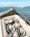 Bruny Island Day Tour - We Wander