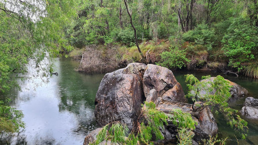 Collie Hike, Wine & Dine Experience - We Wander