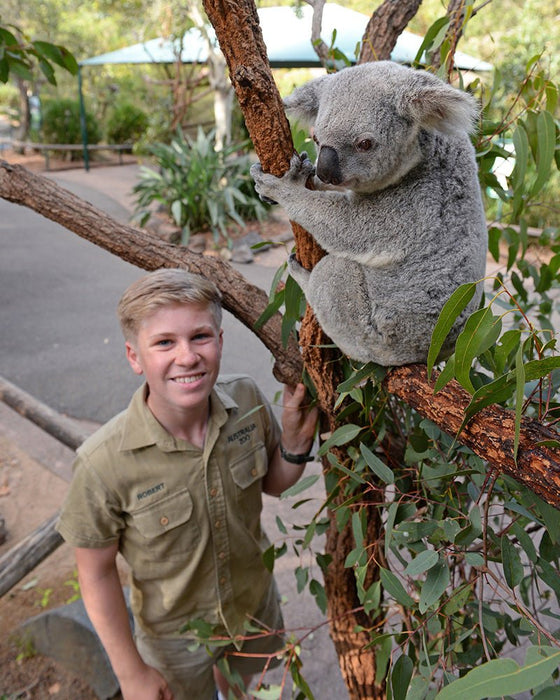 Croc Tours Koala Cuddle Adventure - We Wander