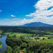 Crocodile Express Daintree Rainforest & Wildlife Cruise From Daintree Village - We Wander