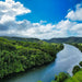 Crocodile Express Daintree Rainforest & Wildlife Cruise From Daintree Village - We Wander