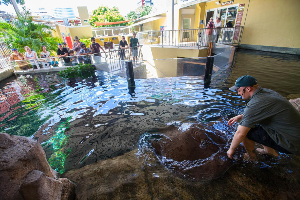 Crocosaurus Cove Entry - We Wander