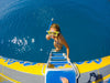 Daydream Island Southern Lights Tour - We Wander