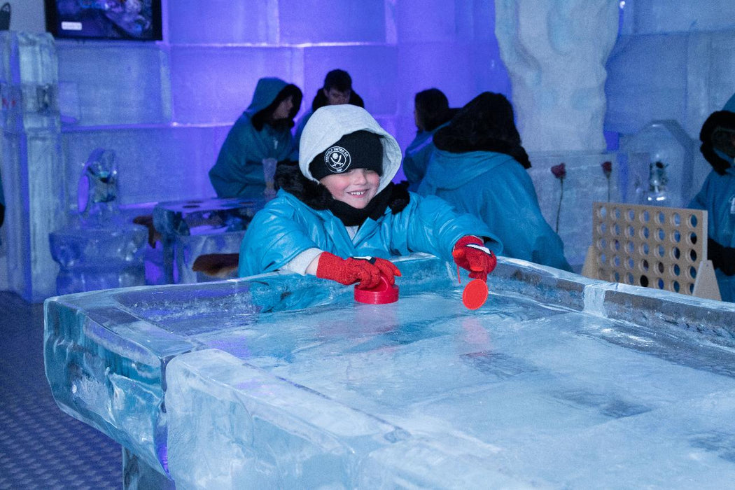 Deluxe Arctic Experience At Icebar - We Wander