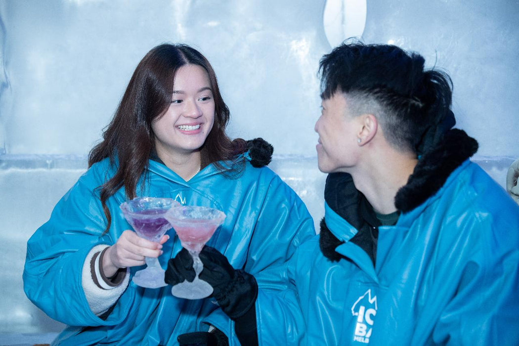 Deluxe Arctic Experience At Icebar - We Wander