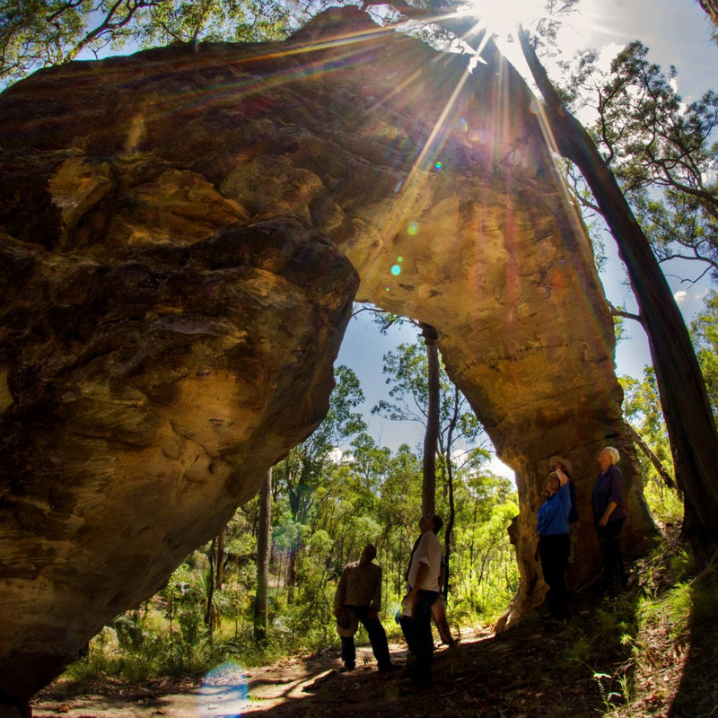 Discover Carnarvon Ranges - We Wander