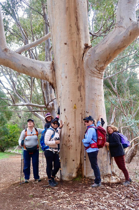 Discover The Bibbulmun - Kalamunda To Mundaring Hiking Experience - We Wander