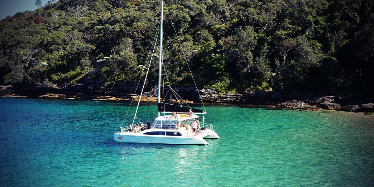partner-Tamar Valley Wine Tours