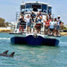 Dolphin Cruise & Views Tour For Four - We Wander