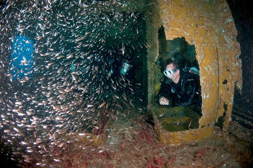 Double Dive: Ex - Hmas Brisbane Wreck - We Wander